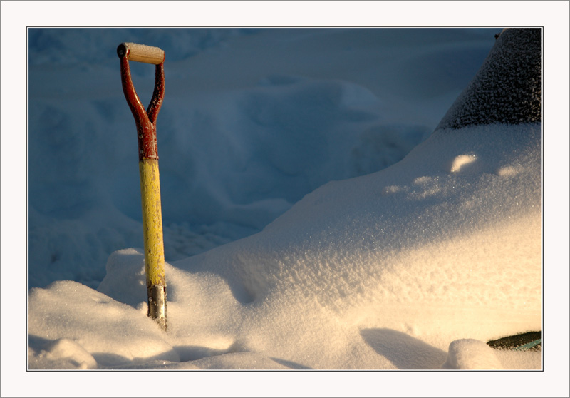 20080128_fe5441603b85308a06485xa8judGobAl.jpg