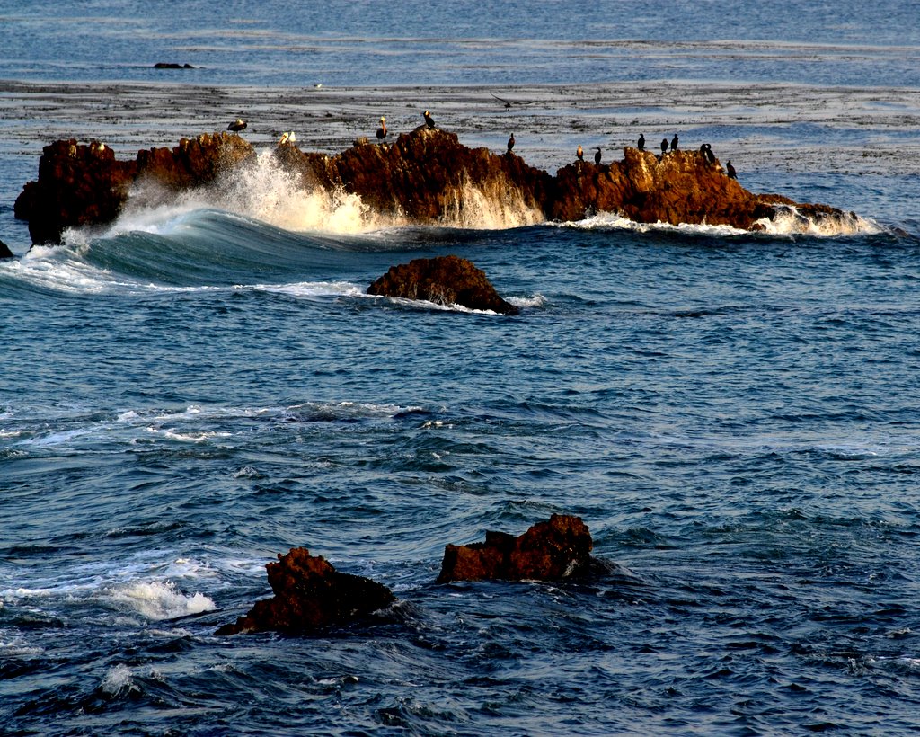 DSC_0222-1.JPG