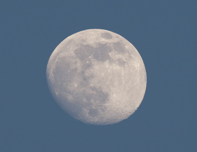 1D3_1054-1.jpg
