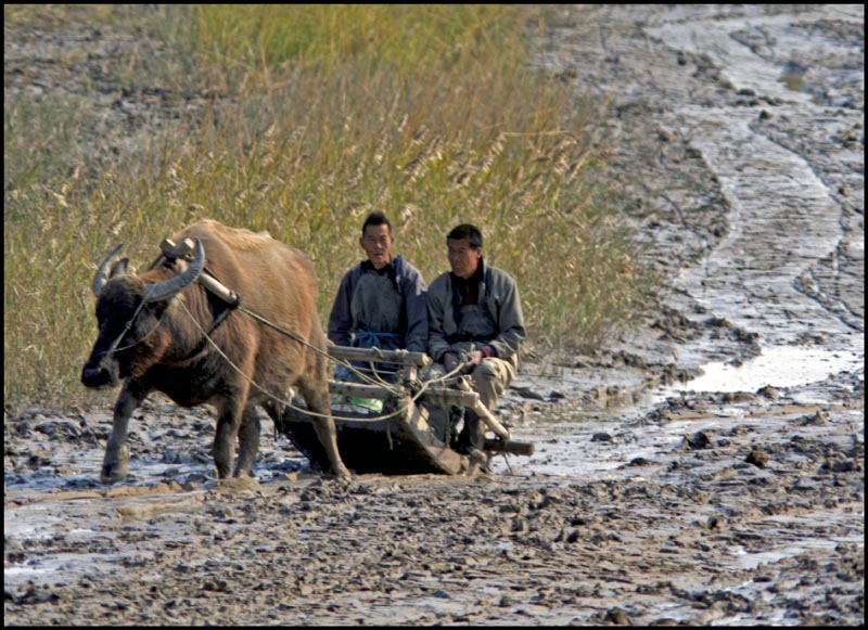 Running On The Mud #2.jpg