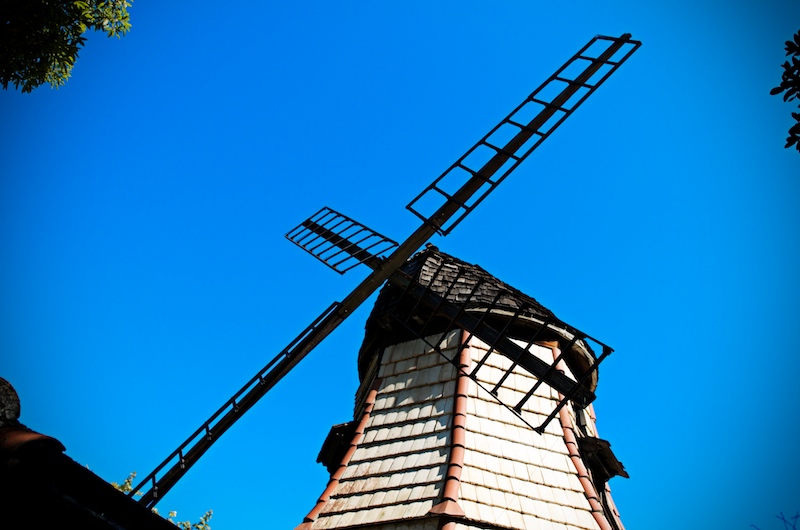 WLP_6461.jpg