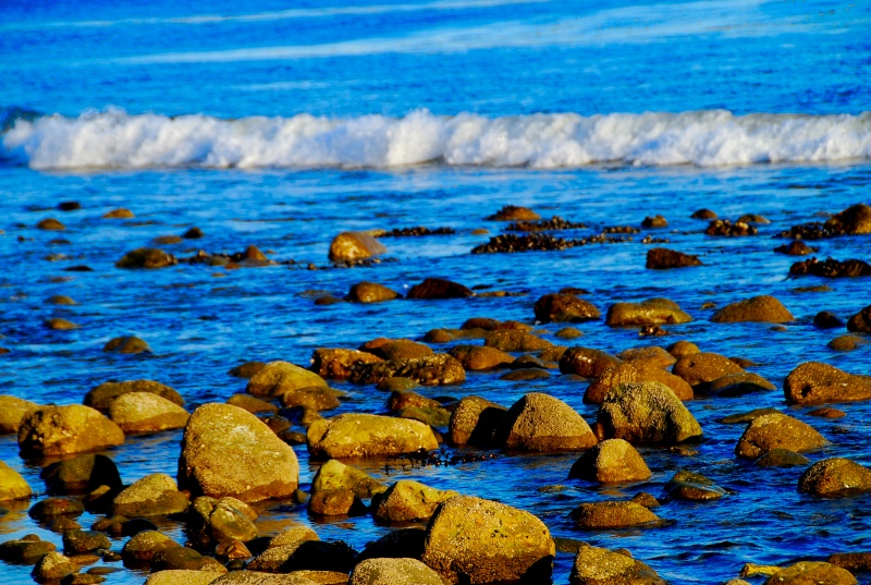 DSC_0536.jpg