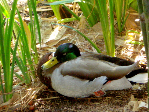 DSC01592.JPG