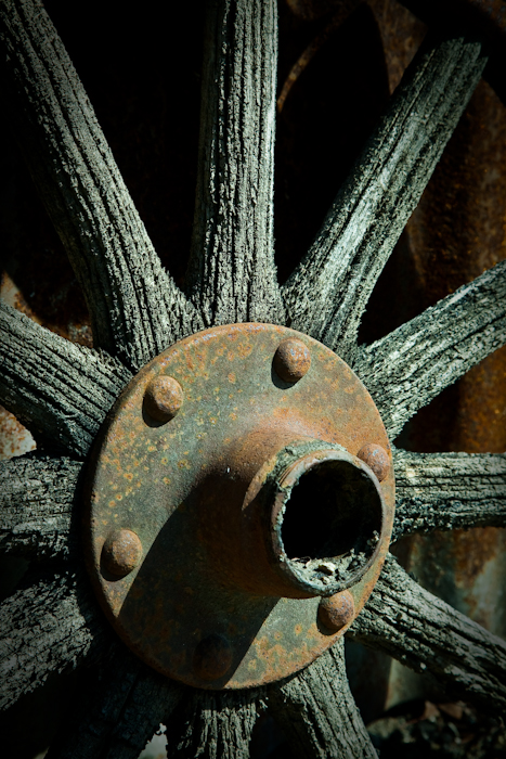 Lr-2895.jpg