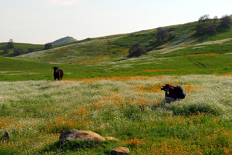 DSC_0424.JPG