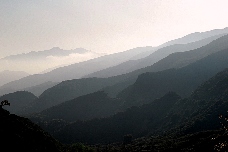 DSC_0813.JPG