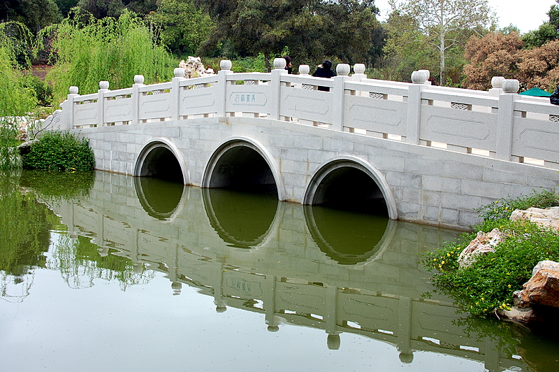 DSC_5348.JPG