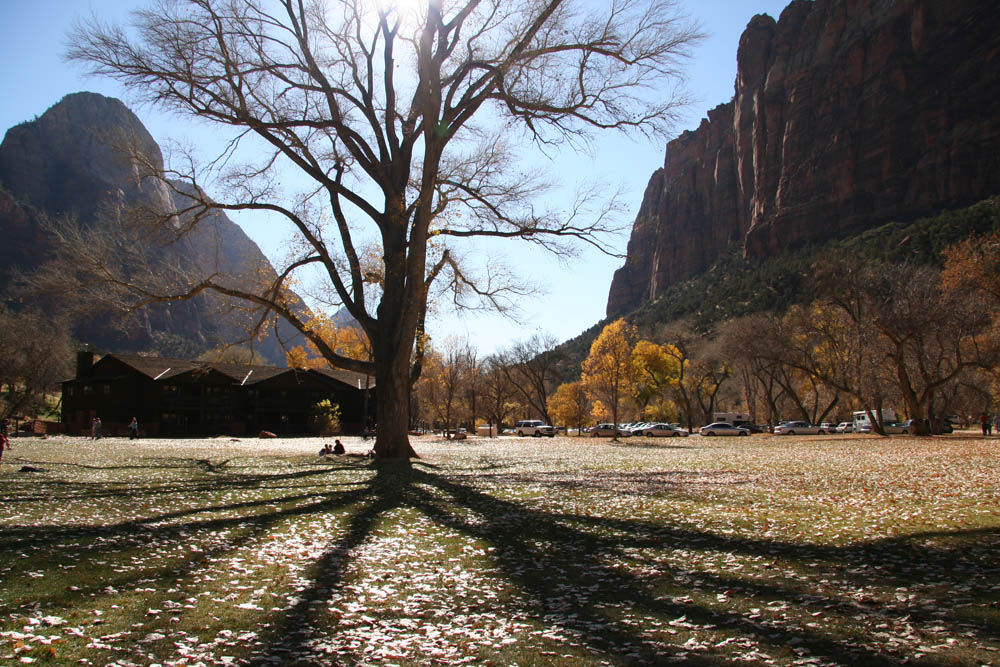 Lin01_01_ZionNPs.jpg