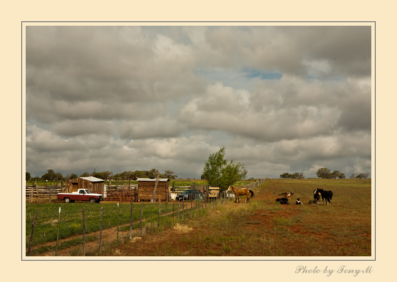 IMG_6533-Edit.jpg