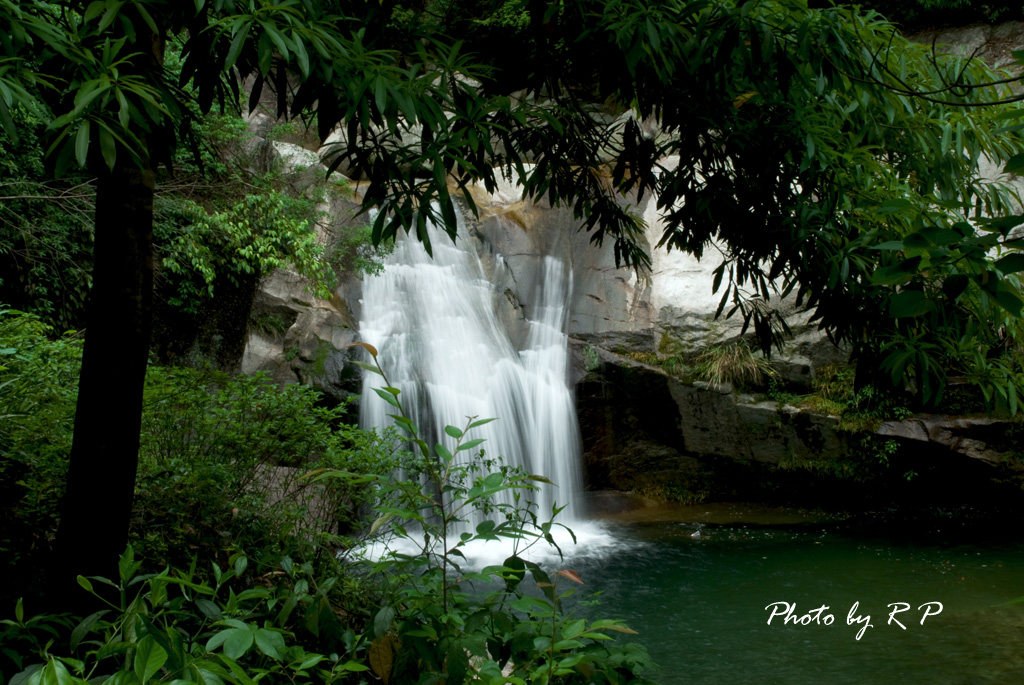 DSC_0219-s.jpg