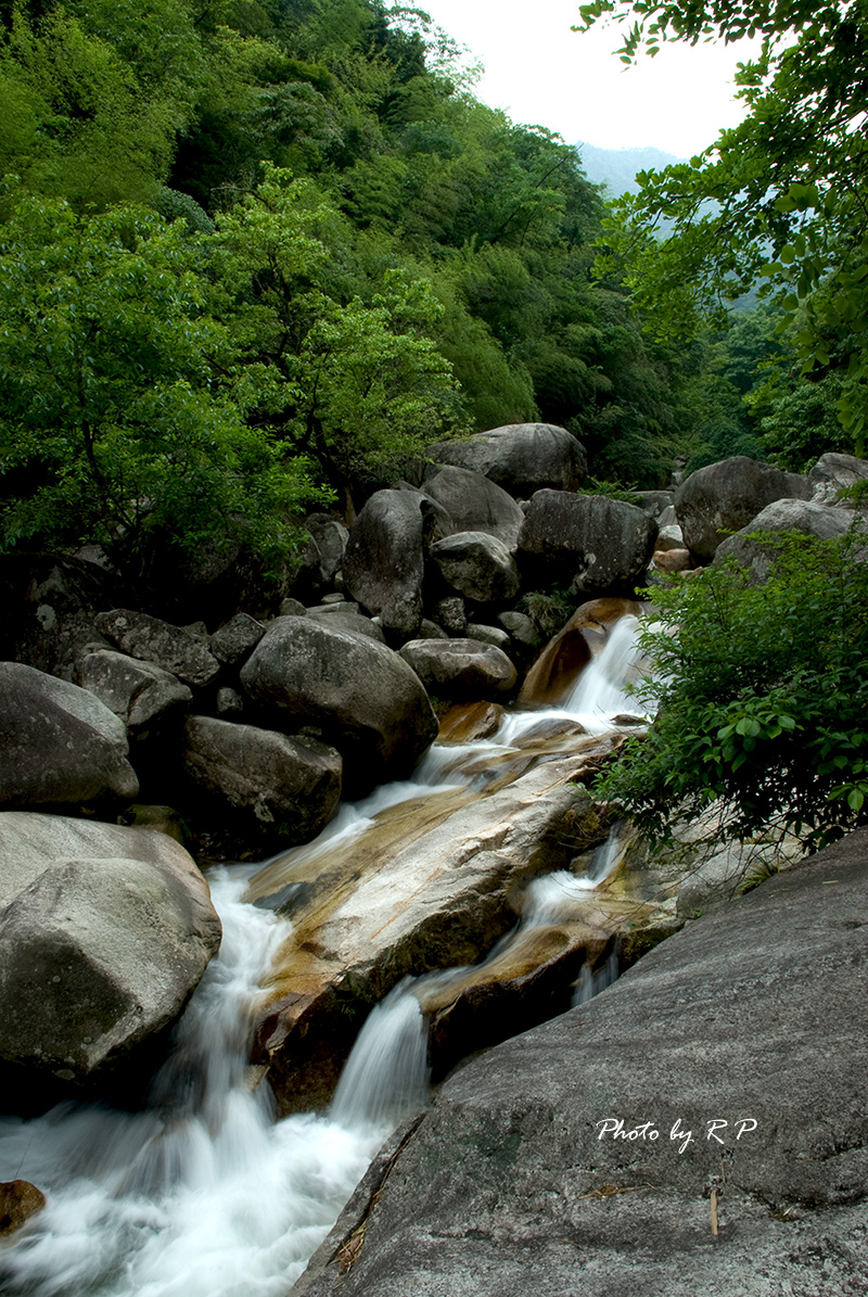 DSC_0202-s.jpg