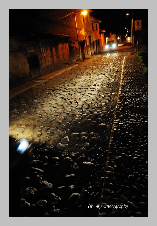 DSC_8886y.jpg