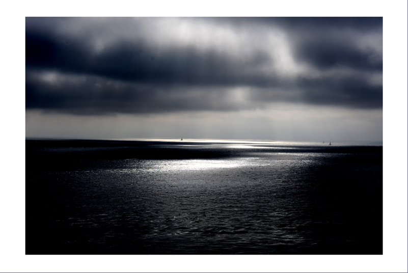 DSC_3515.jpg