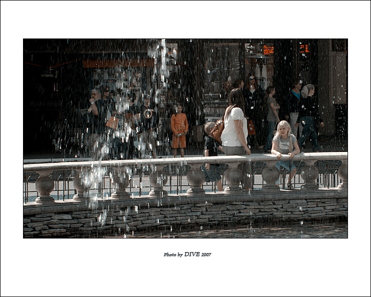 sj010.jpg