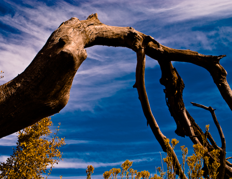 DSC_0084.jpg