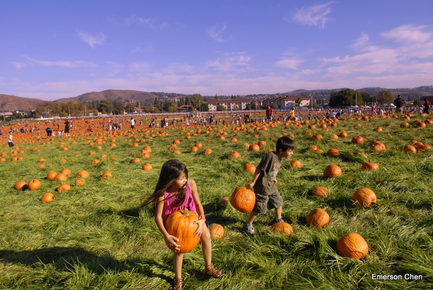 Pumpkin_1-115.JPG
