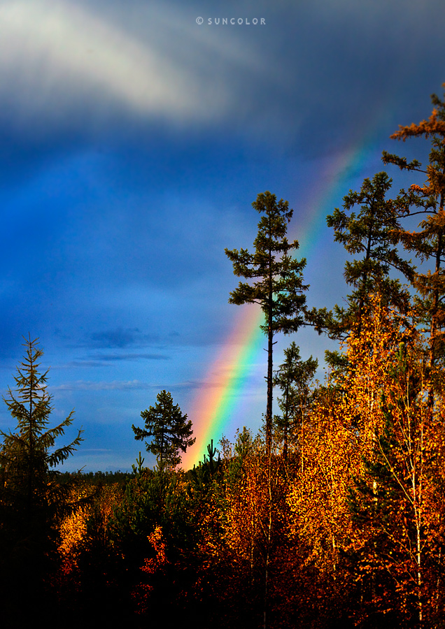 landscape-8.jpg