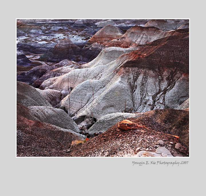 BlueMesa_0186-Framed.jpg