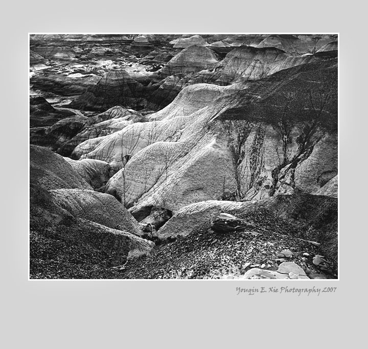 BlueMesa_0186-Framed-BW.jpg