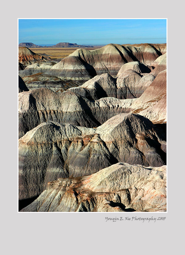 BlueMesa_3739_2005.jpg