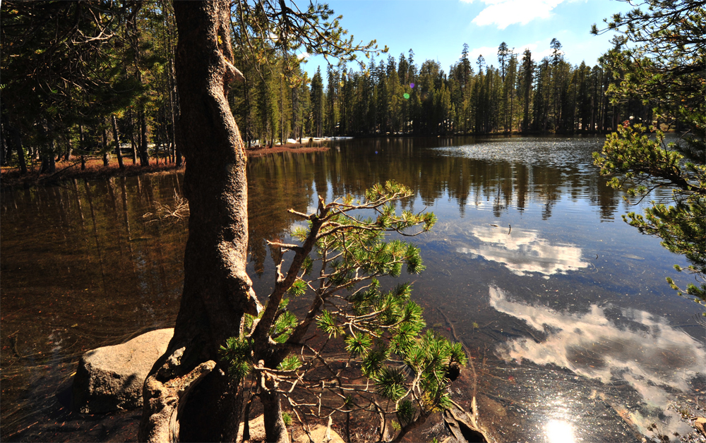 temp lake on Rt120 sm1.jpg