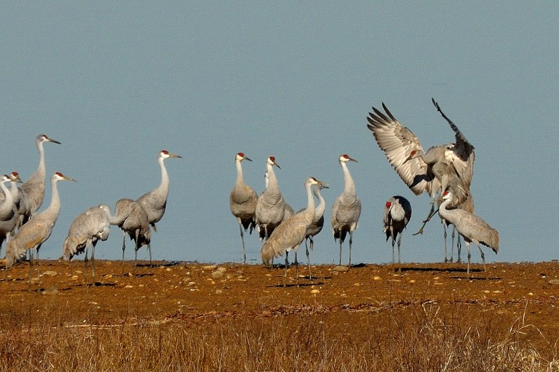 DSC_9170.jpg