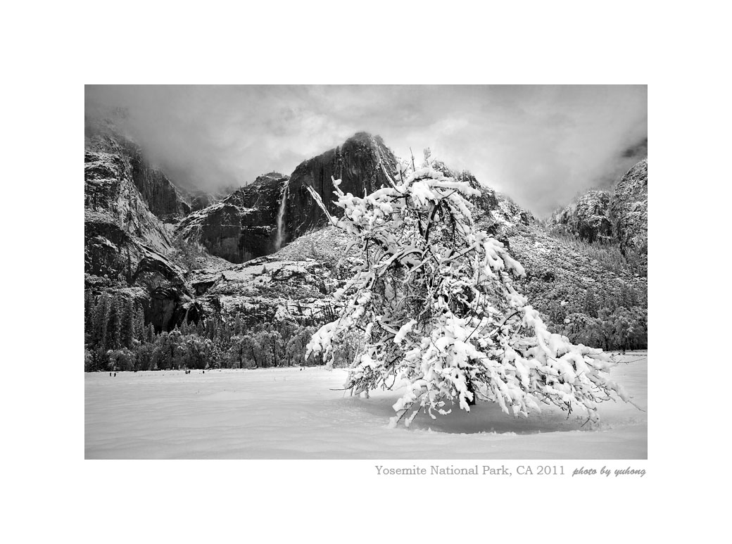 IMG_8445BW2.jpg