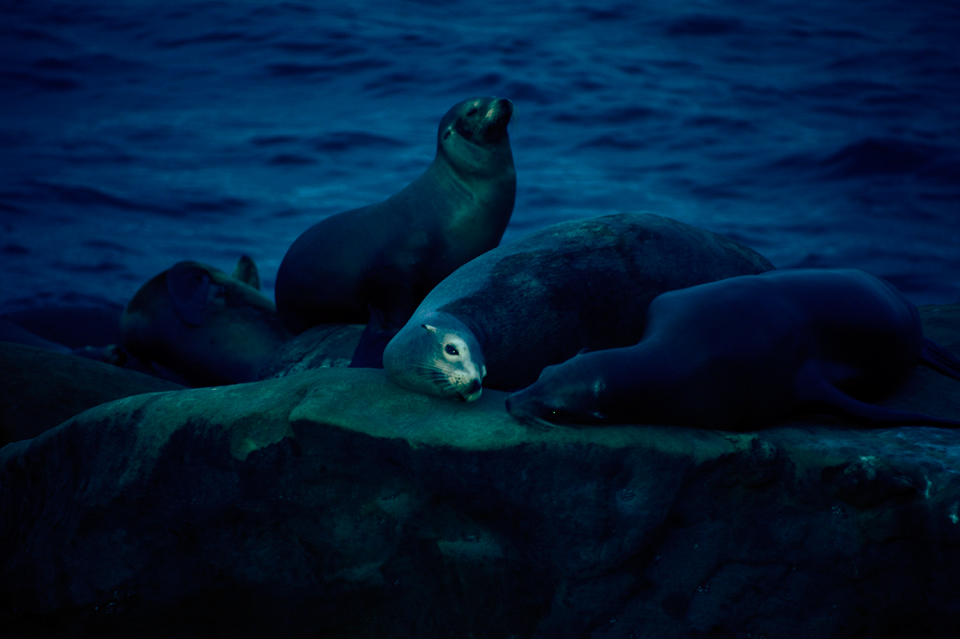 海边0716_seal.jpg