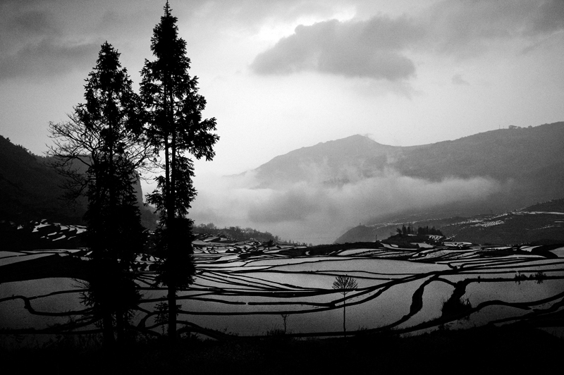 DSCF4745.jpg