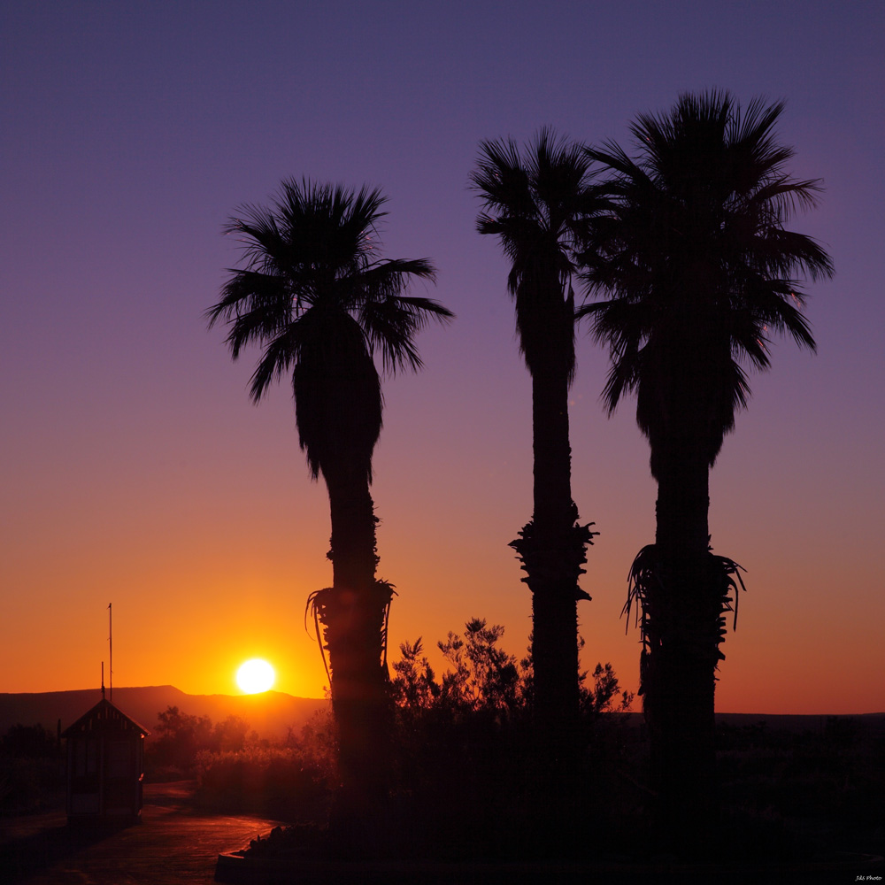 2013-10-06-Borrego Camp-048a.jpg