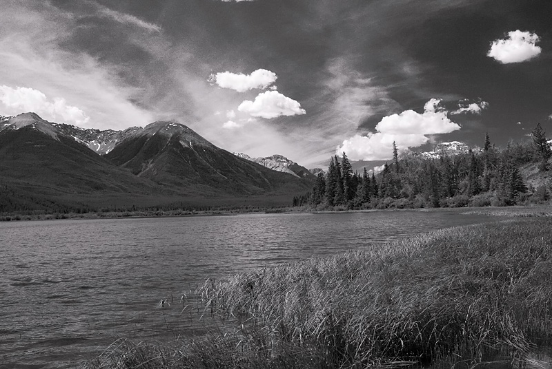 4411 bw.jpg
