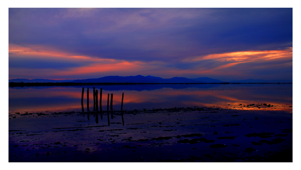 DSC_0121-0.jpg