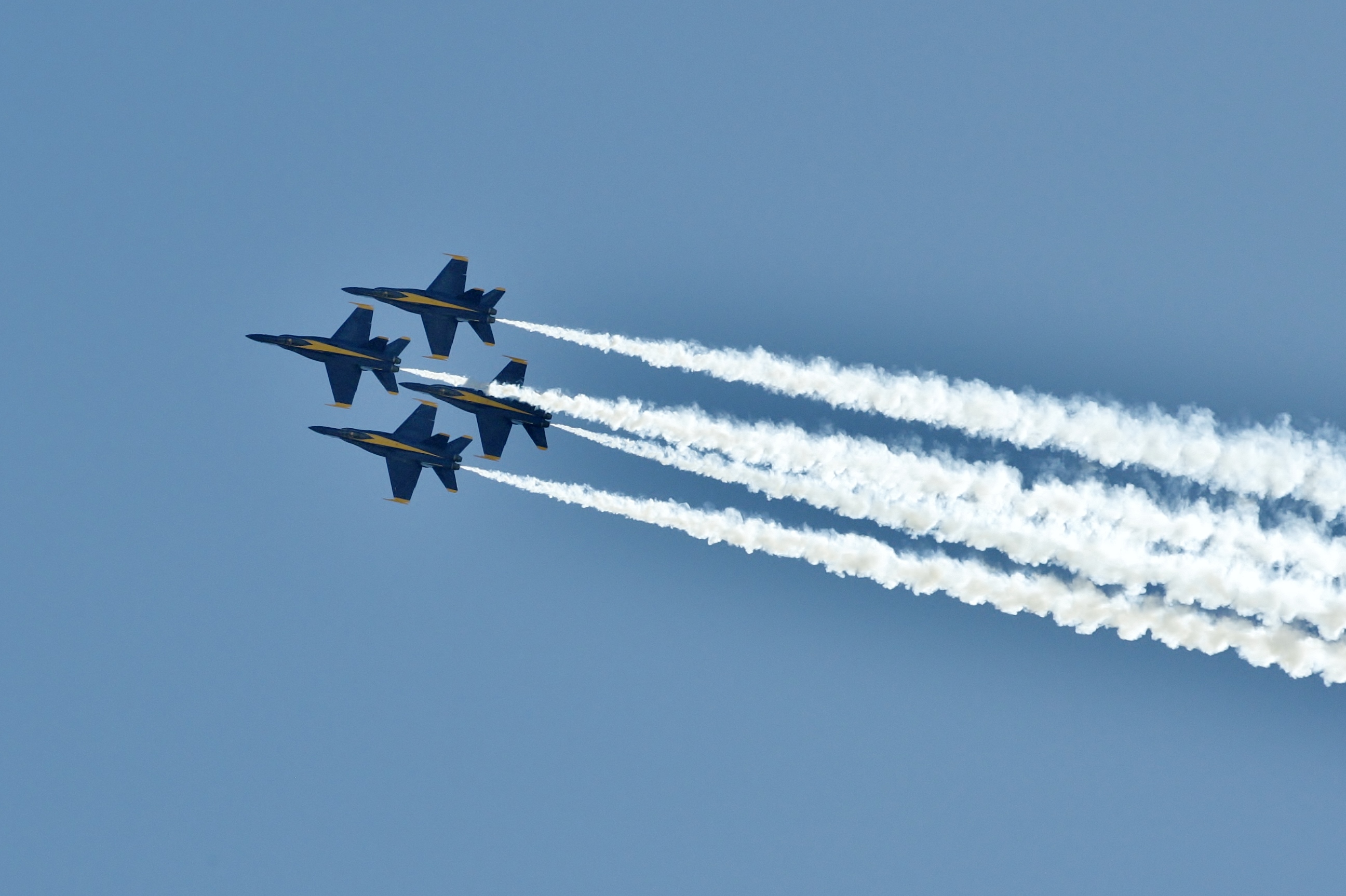 _MG_3448.JPG
