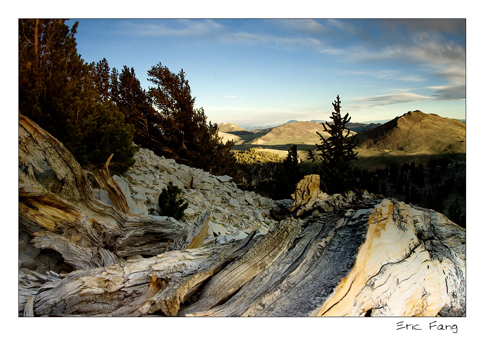 white_Mountain2.jpg