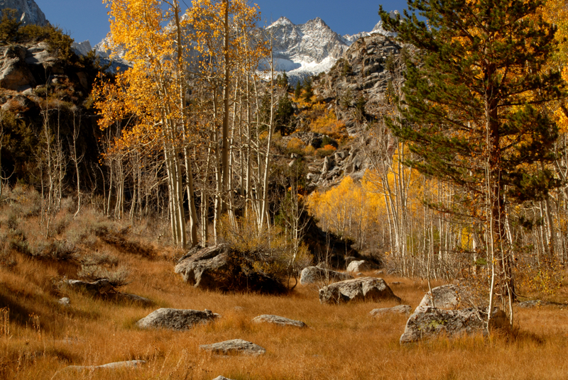 DSC_0042.JPG