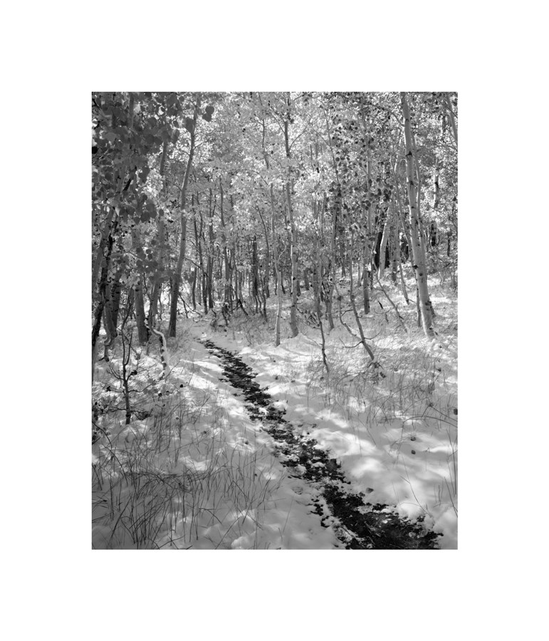 june_lake_01.jpg