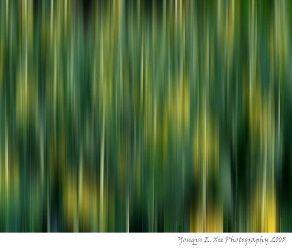 Green_9712-Blurred-Framed.jpg