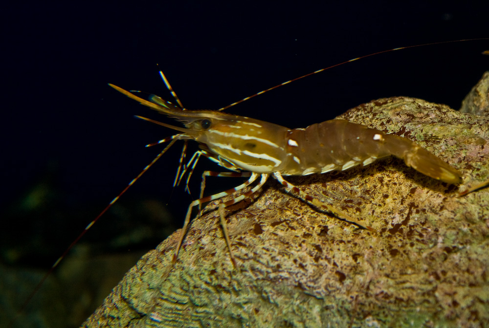 IMG_4145.jpg