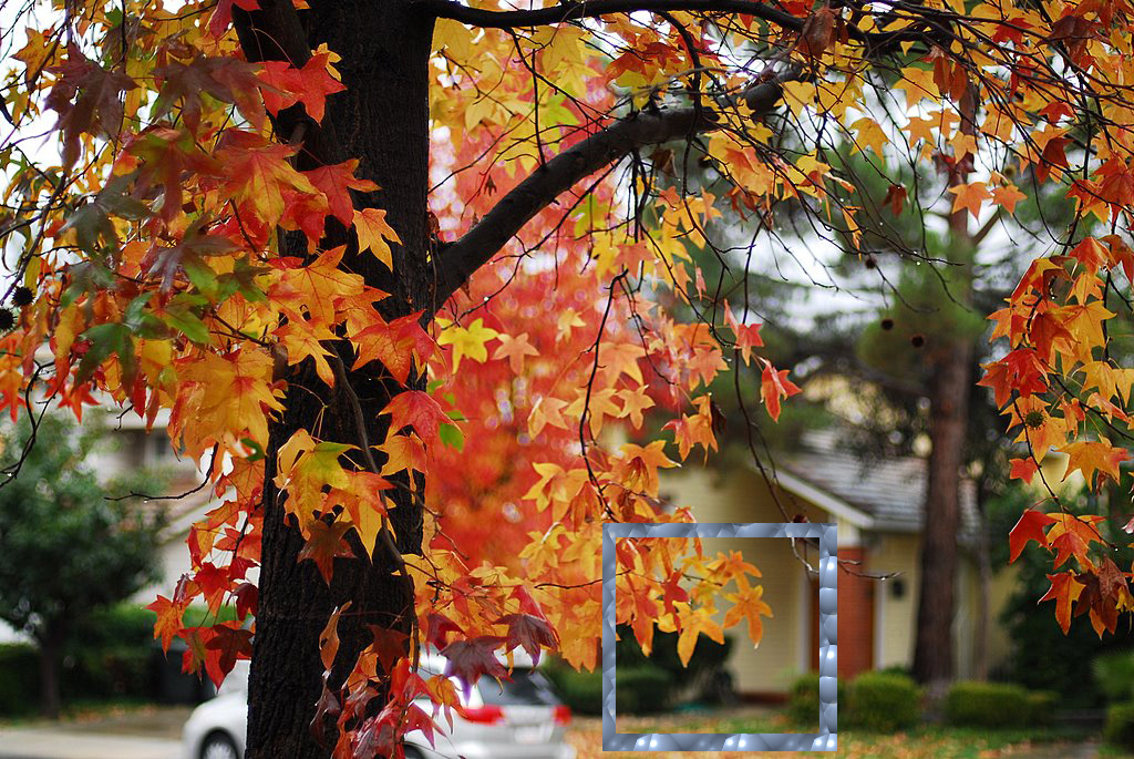 DSC_0035 for c.jpg