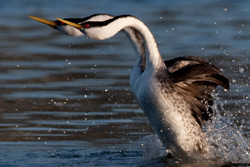 1D3_5580-1.jpg