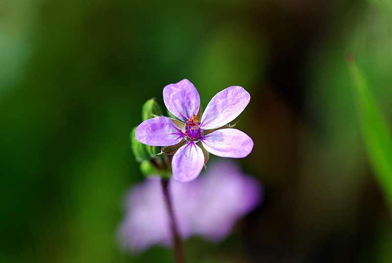 DSC_2871.JPG