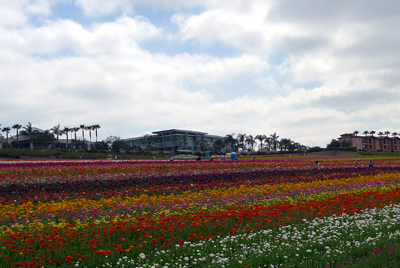 P1010550.jpga.jpg