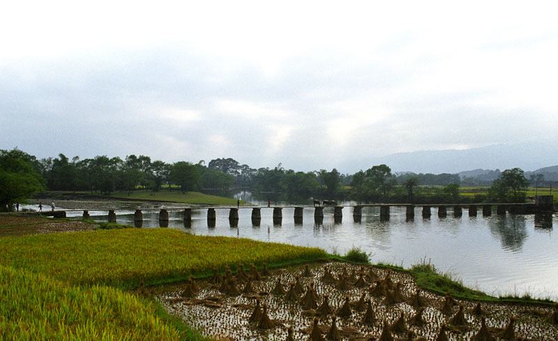 Image16.jpg