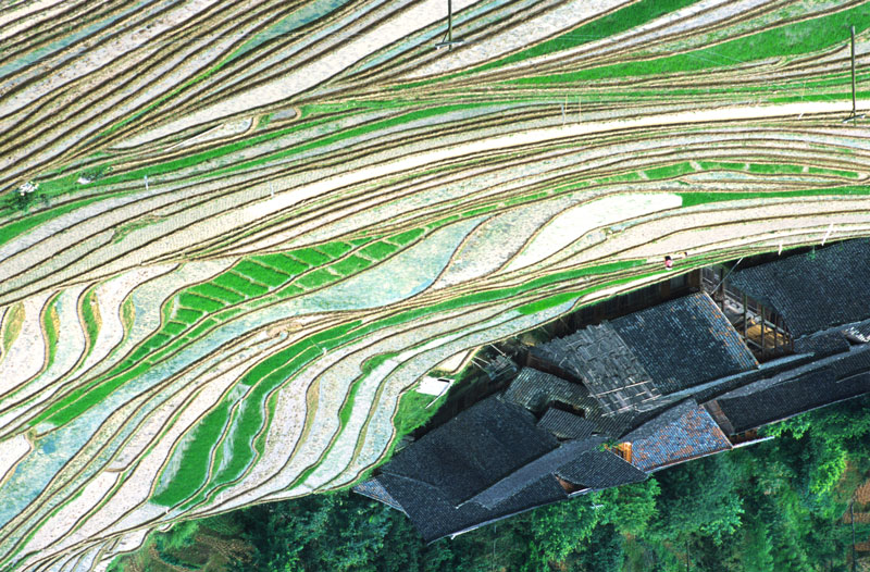 crop0003.jpg