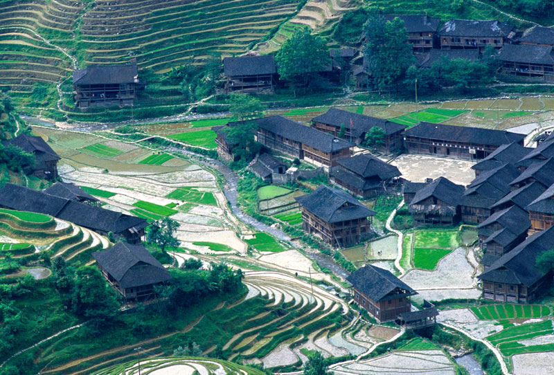 crop0005.jpg