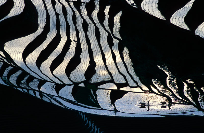 crop0010.jpg