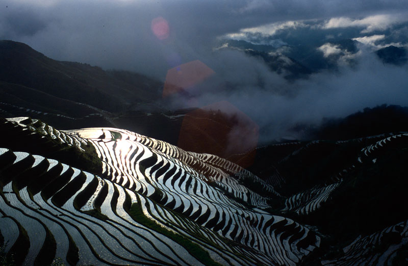 crop0012.jpg