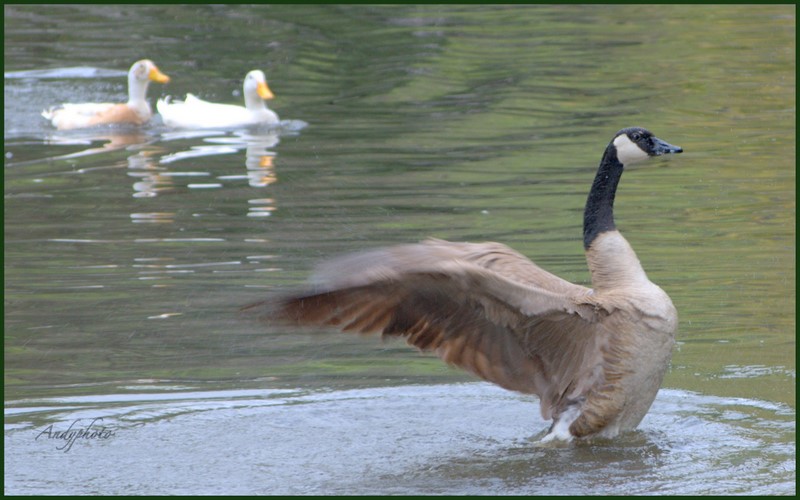 041109 Arboretum Andy3.jpg