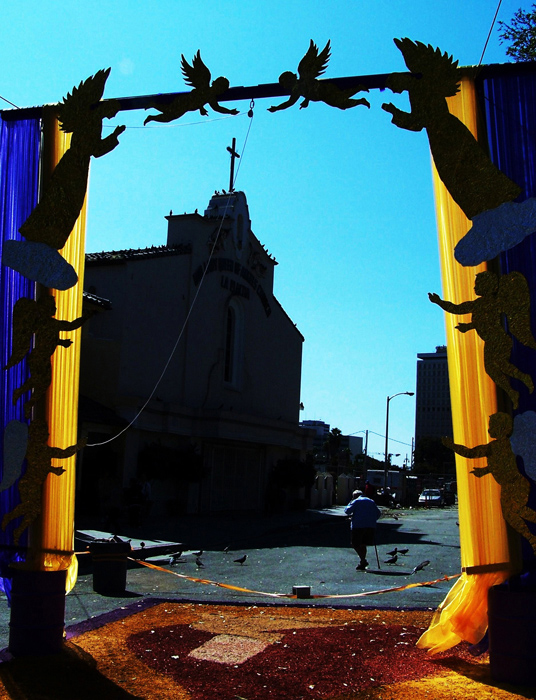 100_5806copy.jpg