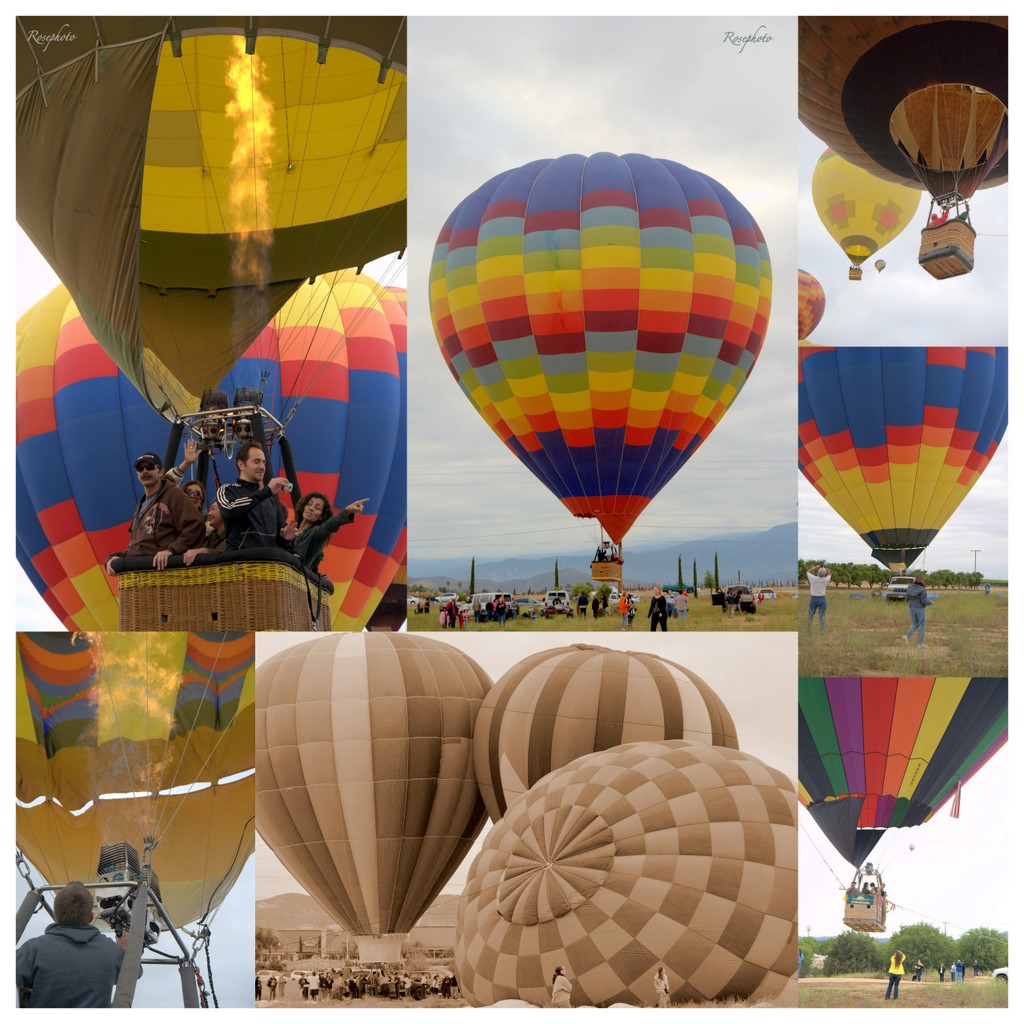 Collages49-1.jpg